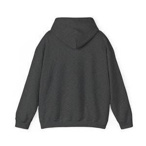 Dids On The Coach Unisex Coach Hooded Sweatshirt - Perfect Gift for Coaches & Sports Fans
