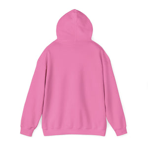 Dids On The Coach Unisex Coach Hooded Sweatshirt - Perfect Gift for Coaches & Sports Fans
